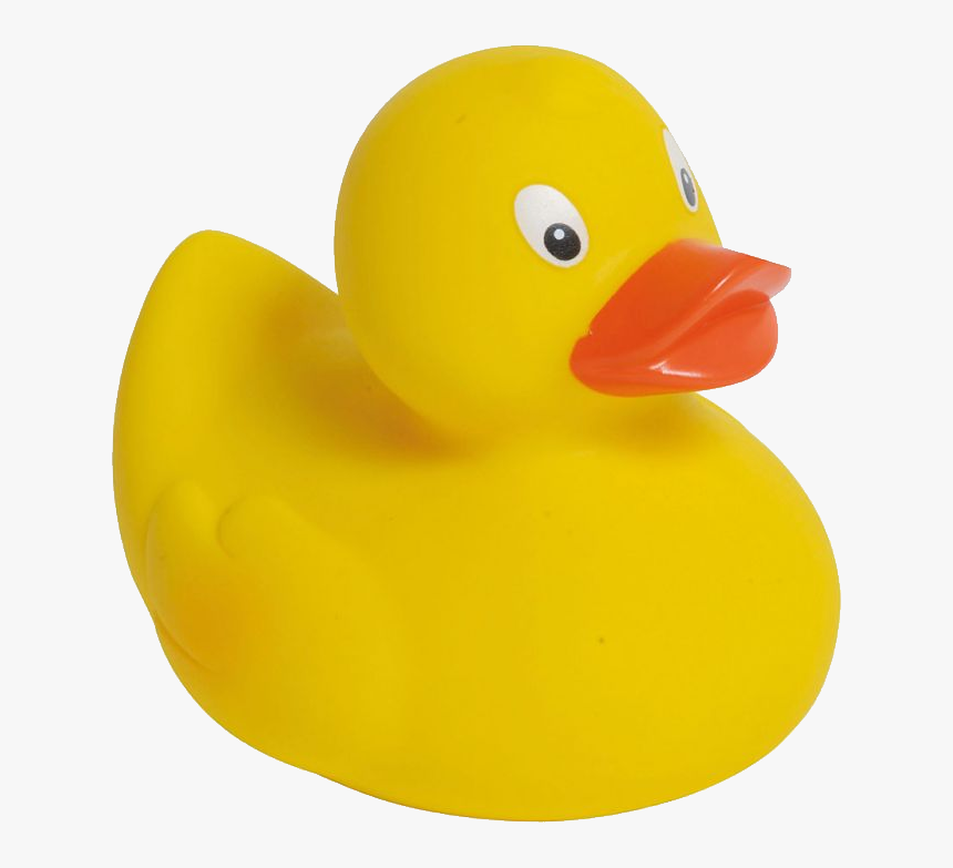 Detail Rubber Duck Transparent Nomer 17