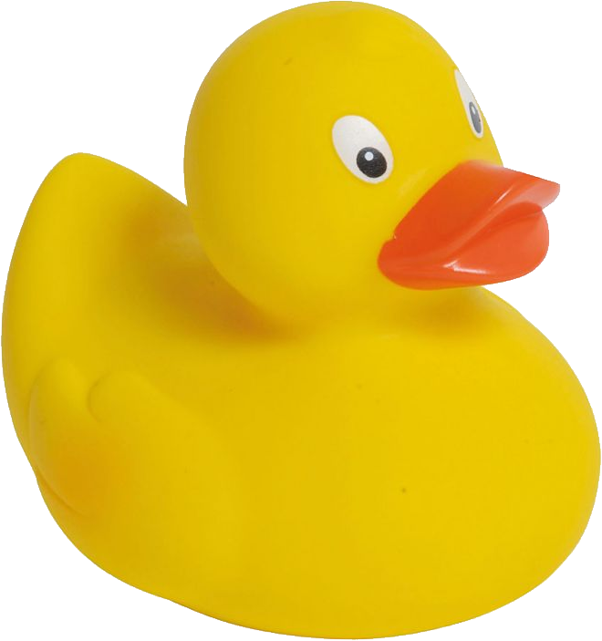 Detail Rubber Duck Transparent Nomer 33