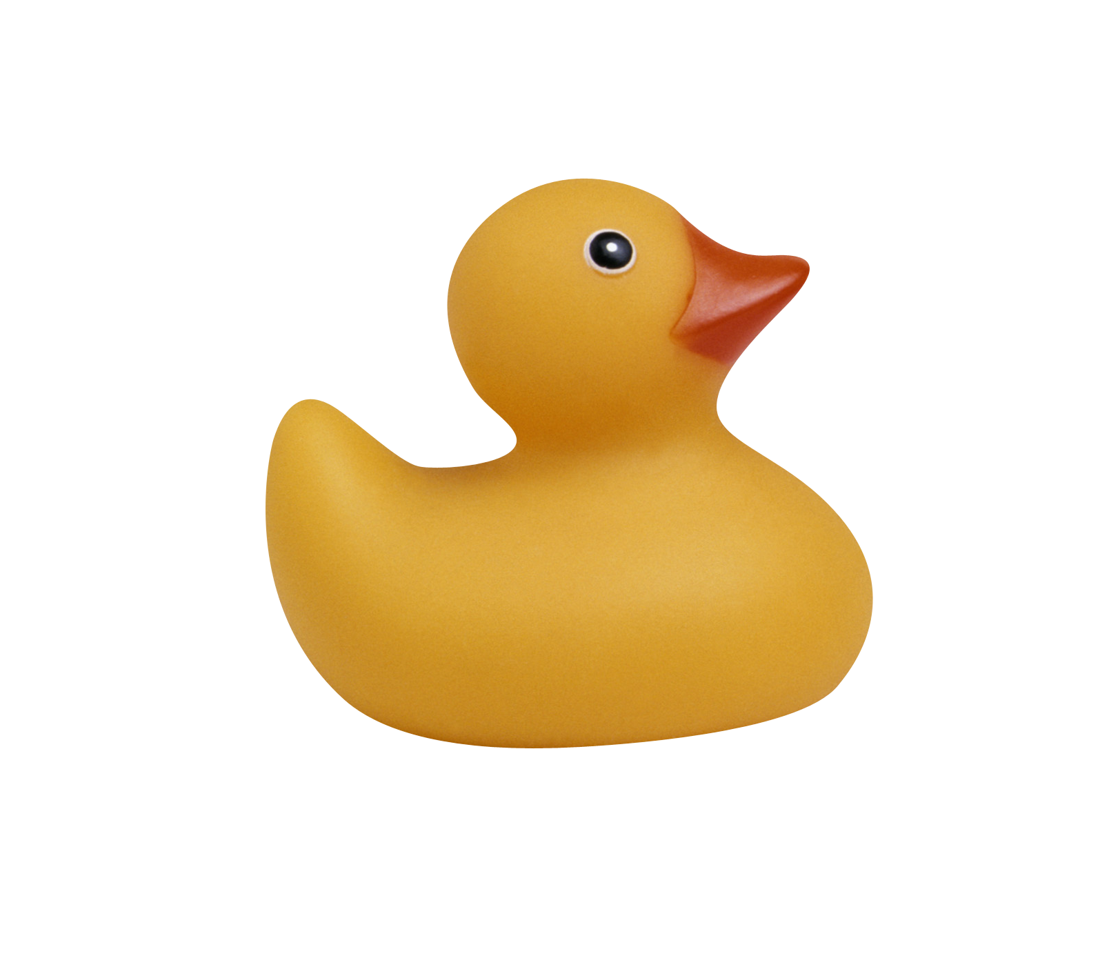 Detail Rubber Duck Transparent Nomer 34