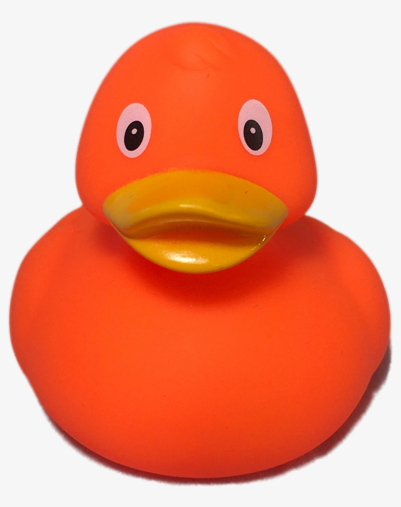 Detail Rubber Duck Transparent Nomer 45