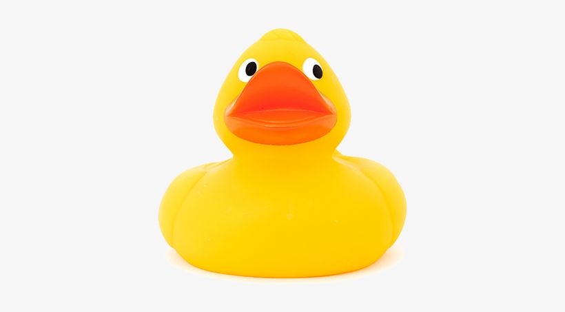 Detail Rubber Duck Transparent Nomer 46