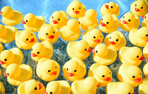 Detail Rubber Duckie Backgrounds Nomer 2