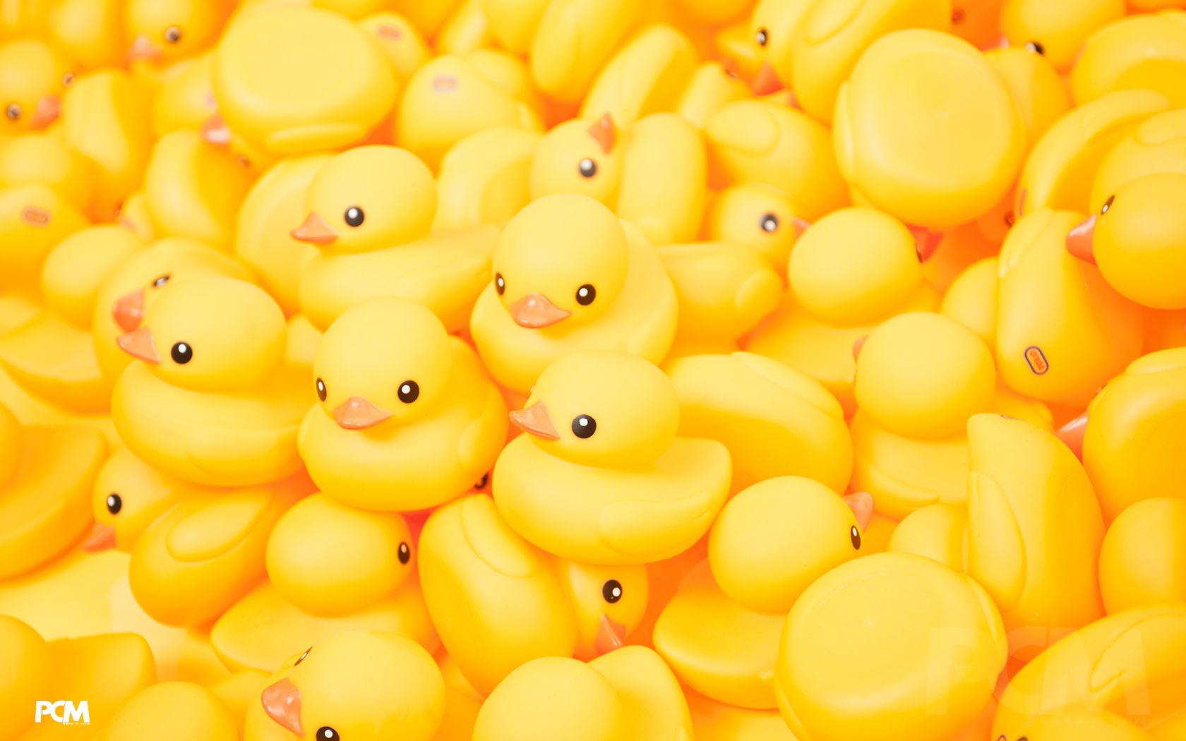 Detail Rubber Duckie Backgrounds Nomer 13