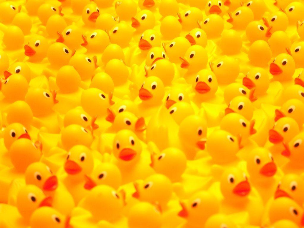 Detail Rubber Duckie Backgrounds Nomer 23