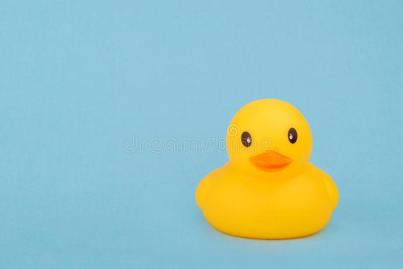 Detail Rubber Duckie Backgrounds Nomer 48