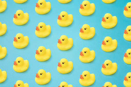 Detail Rubber Duckie Backgrounds Nomer 9