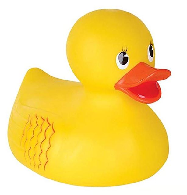 Detail Rubber Duckie Picture Nomer 12