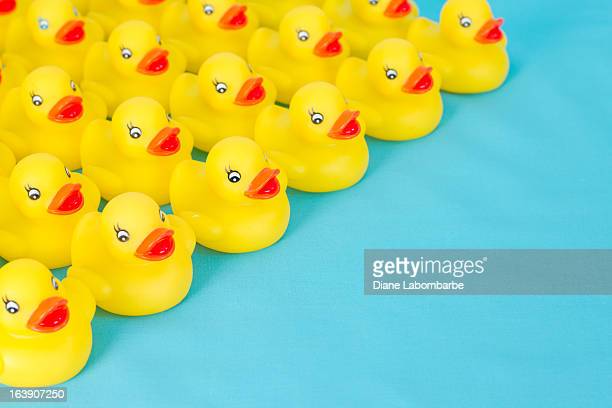 Detail Rubber Duckies Background Nomer 17