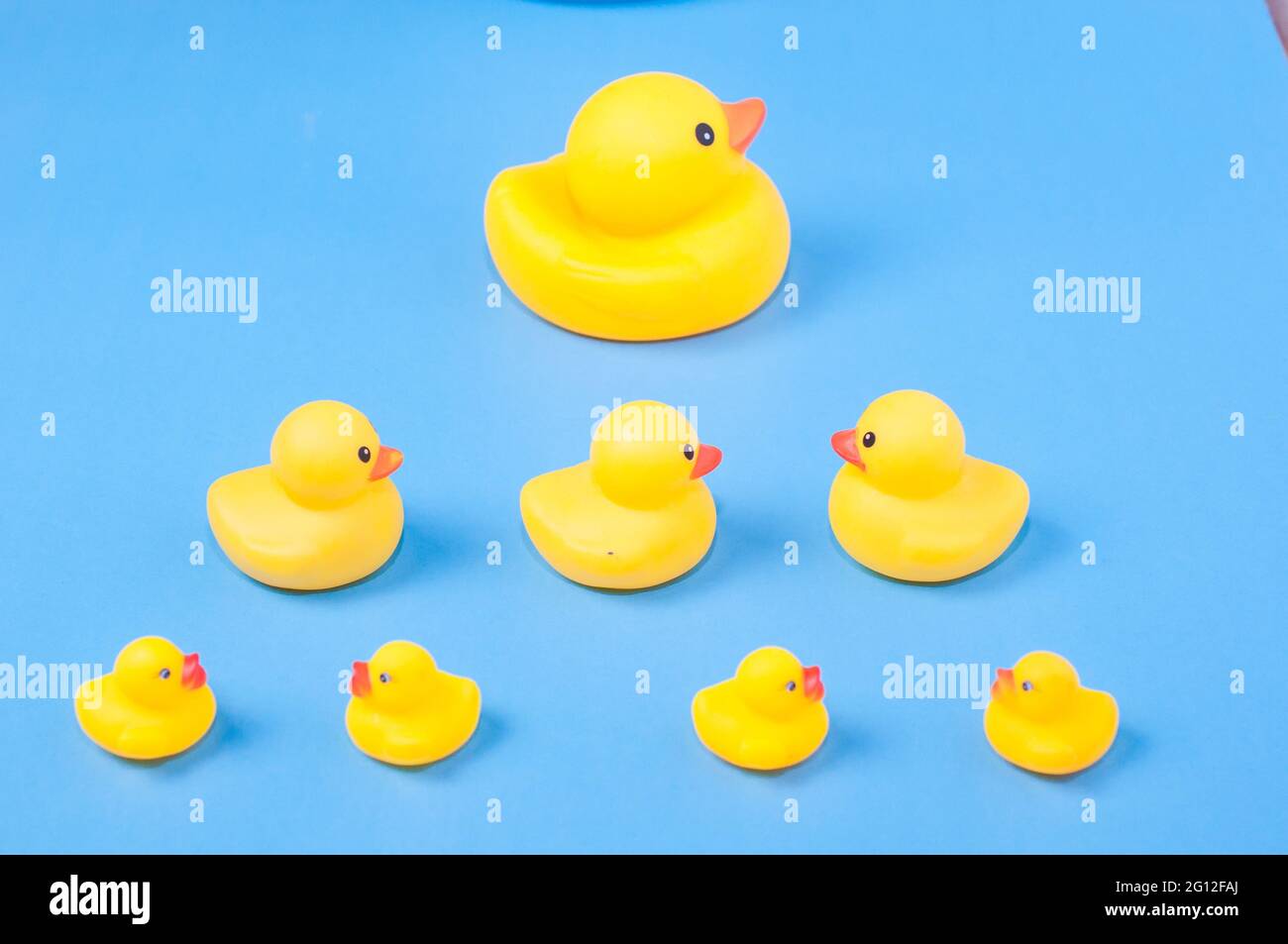 Detail Rubber Duckies Background Nomer 25