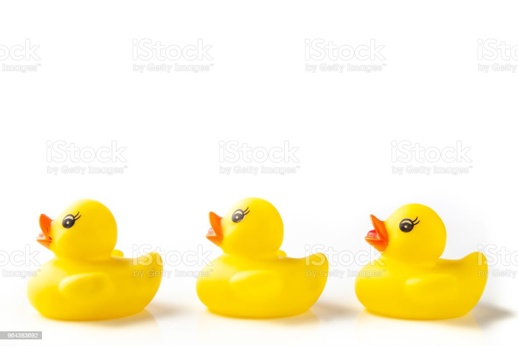 Detail Rubber Duckies Background Nomer 27