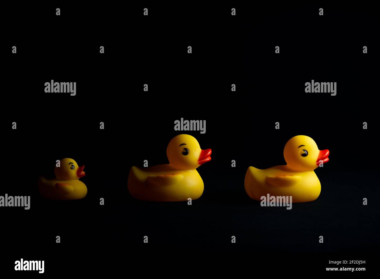 Detail Rubber Duckies Background Nomer 30