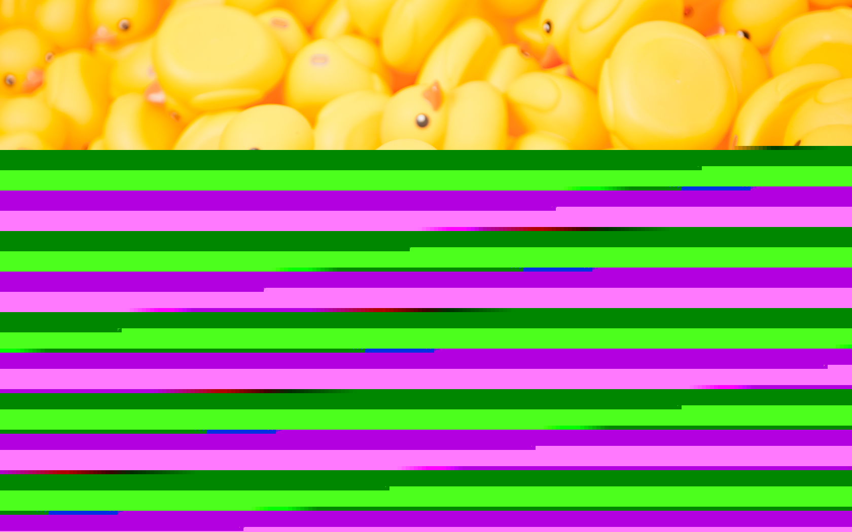 Detail Rubber Duckies Background Nomer 33