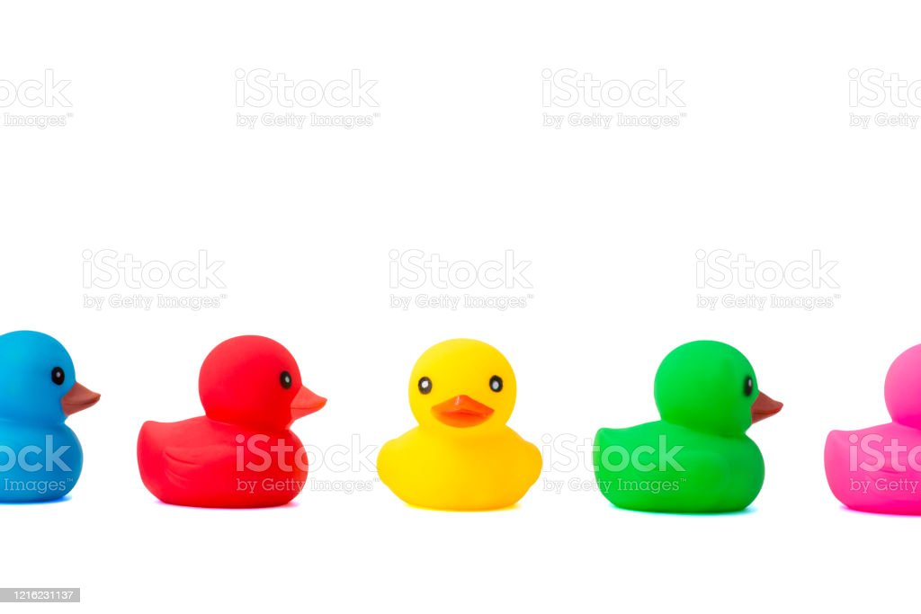 Detail Rubber Duckies Background Nomer 40