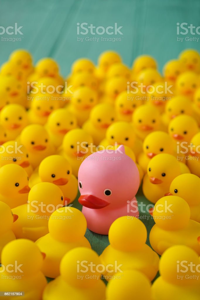 Detail Rubber Duckies Background Nomer 42