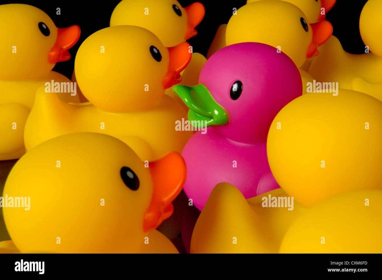 Detail Rubber Duckies Background Nomer 57