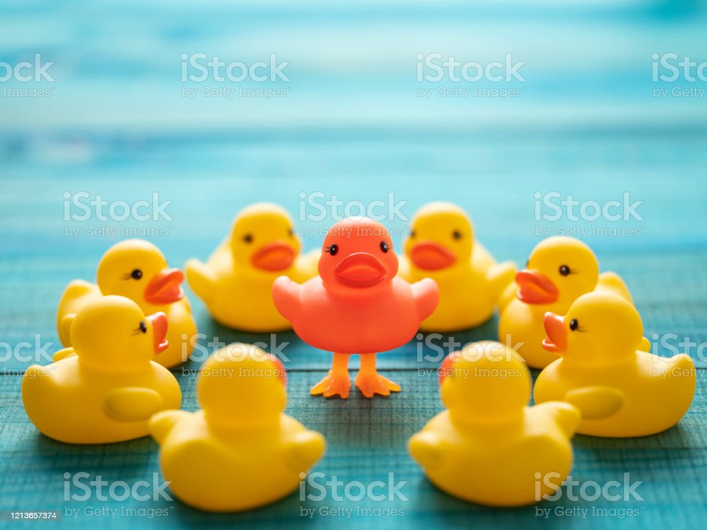 Detail Rubber Duckies Background Nomer 58