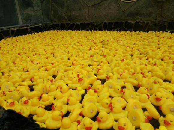 Detail Rubber Duckies Images Nomer 53