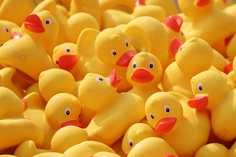 Detail Rubber Ducks Images Nomer 8