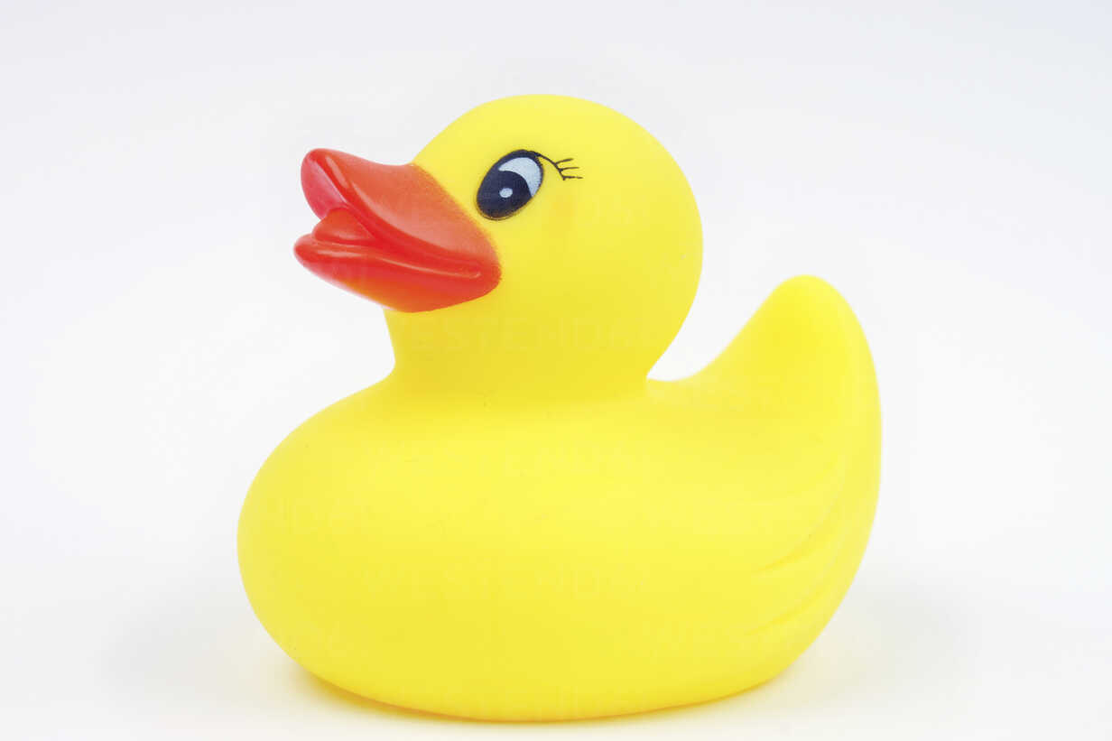 Detail Rubber Ducky Background Nomer 29