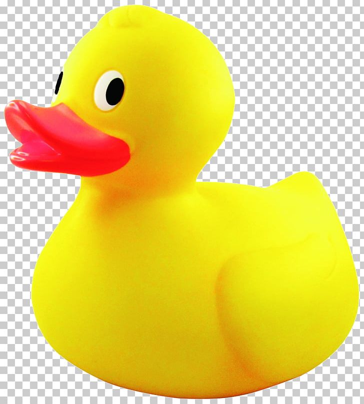 Detail Rubber Ducky Clip Art Free Nomer 19