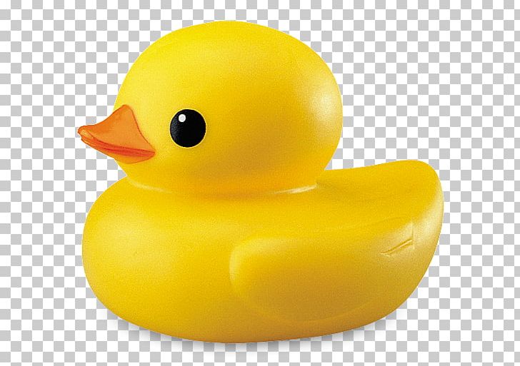 Detail Rubber Ducky Images Free Nomer 11