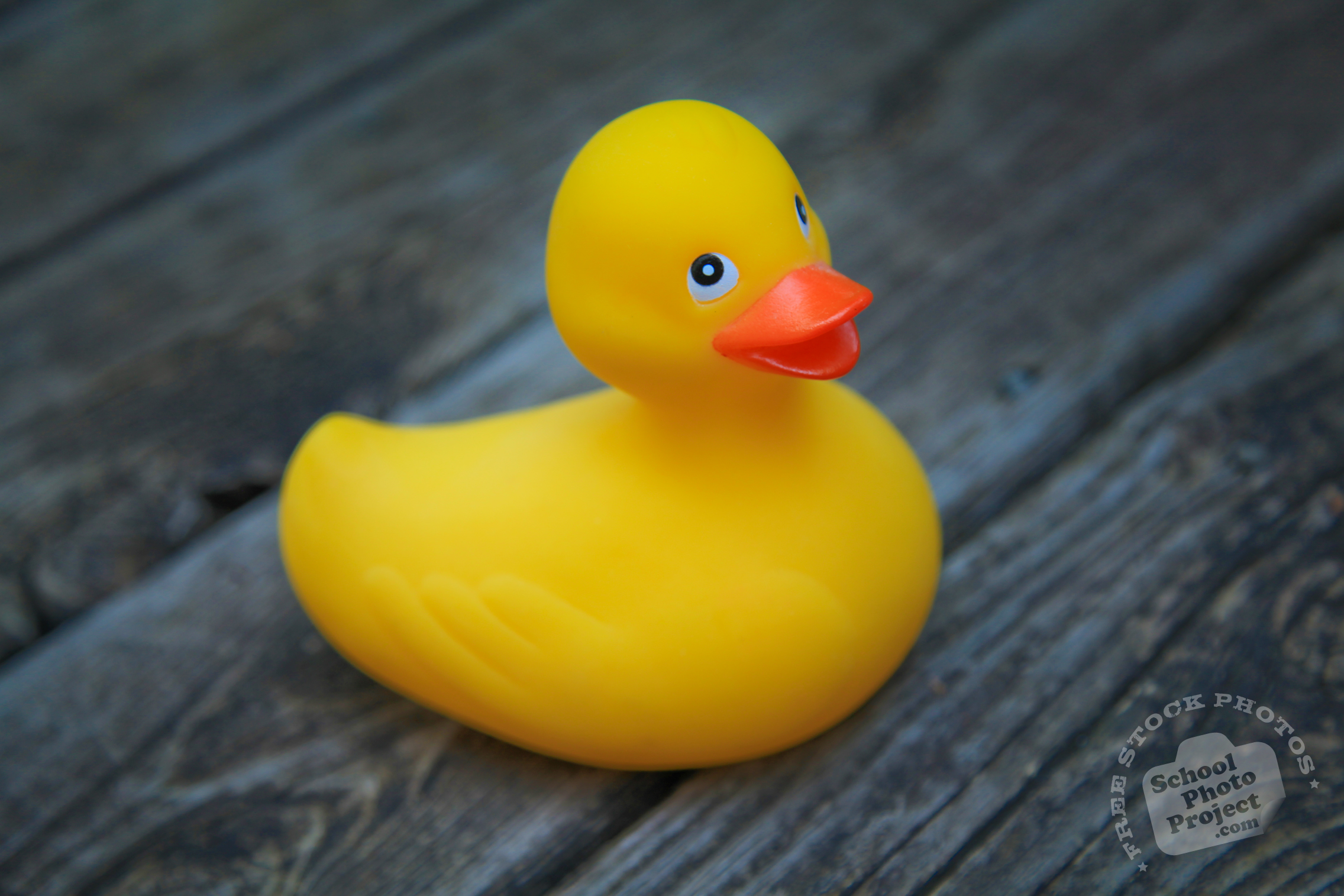 Detail Rubber Ducky Images Free Nomer 24