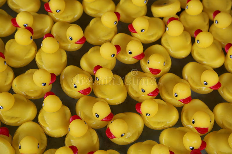 Detail Rubber Ducky Images Free Nomer 33