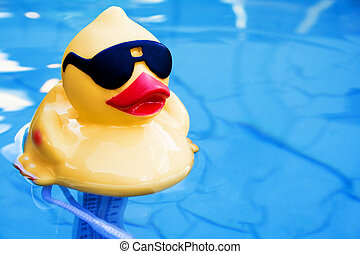 Detail Rubber Ducky Images Free Nomer 41