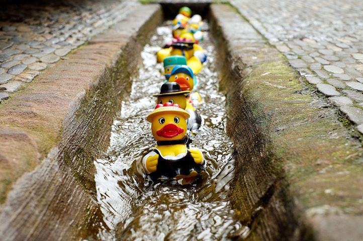 Detail Rubber Ducky Images Free Nomer 44