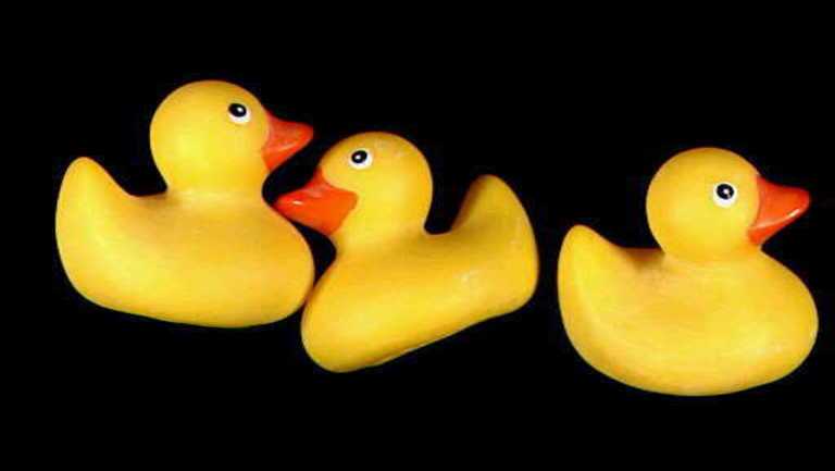 Detail Rubber Ducky Pics Nomer 46