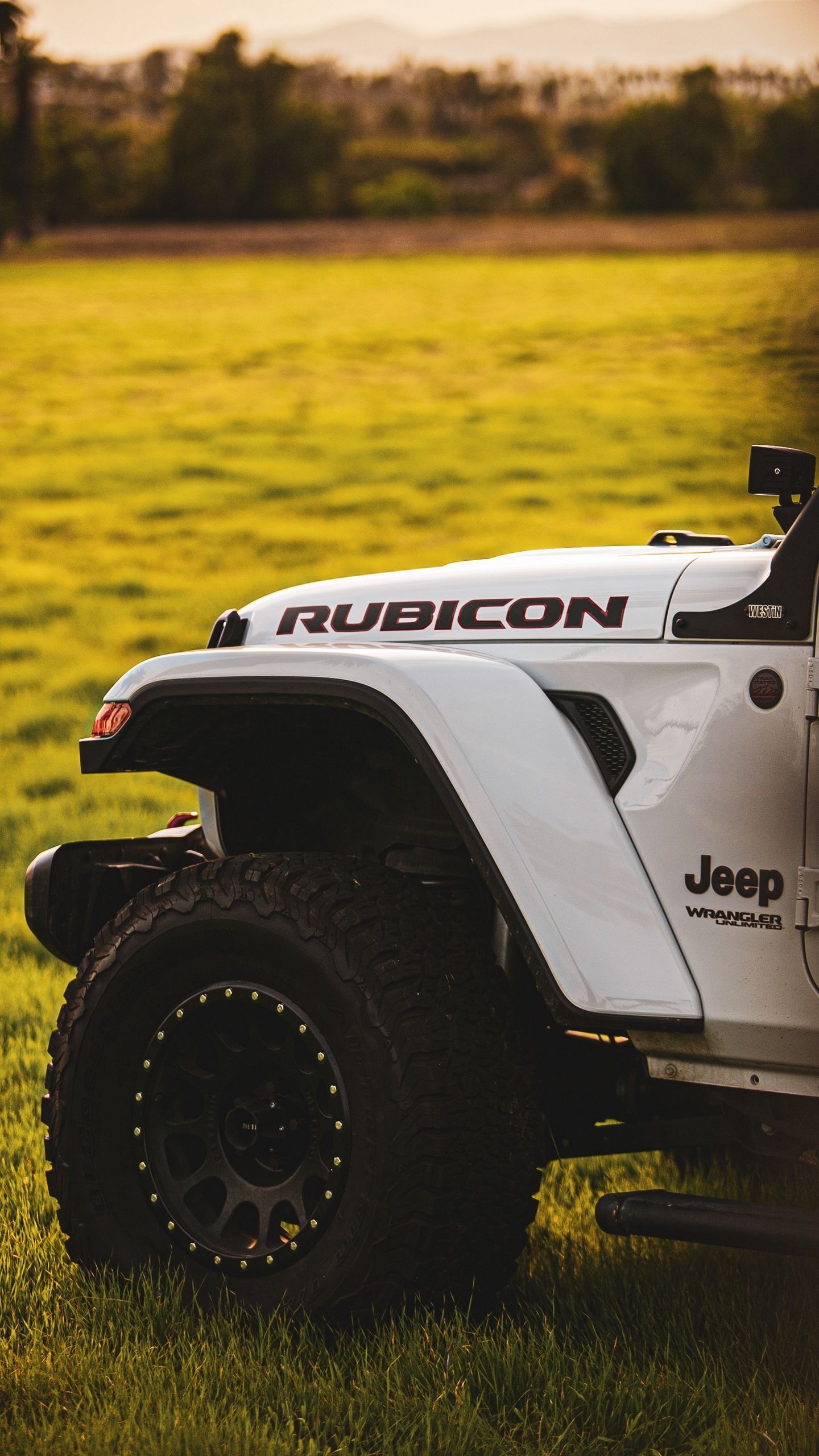 Detail Rubicon Wallpaper Nomer 39