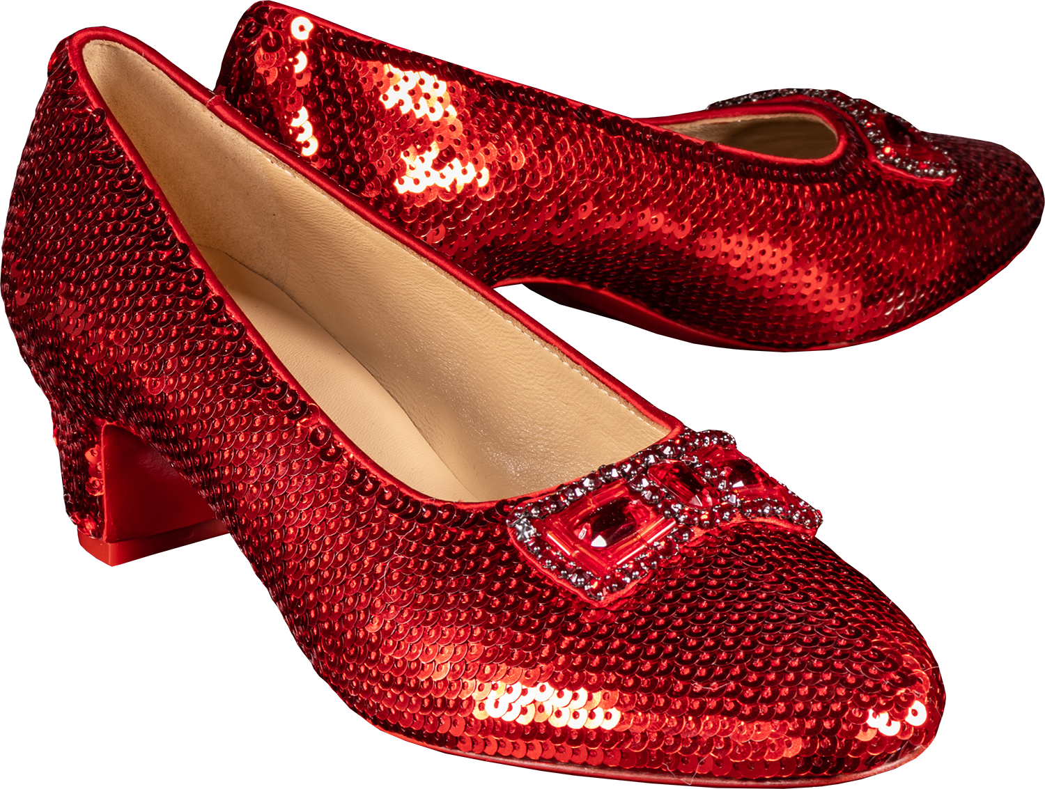 Detail Ruby Slippers Png Nomer 29