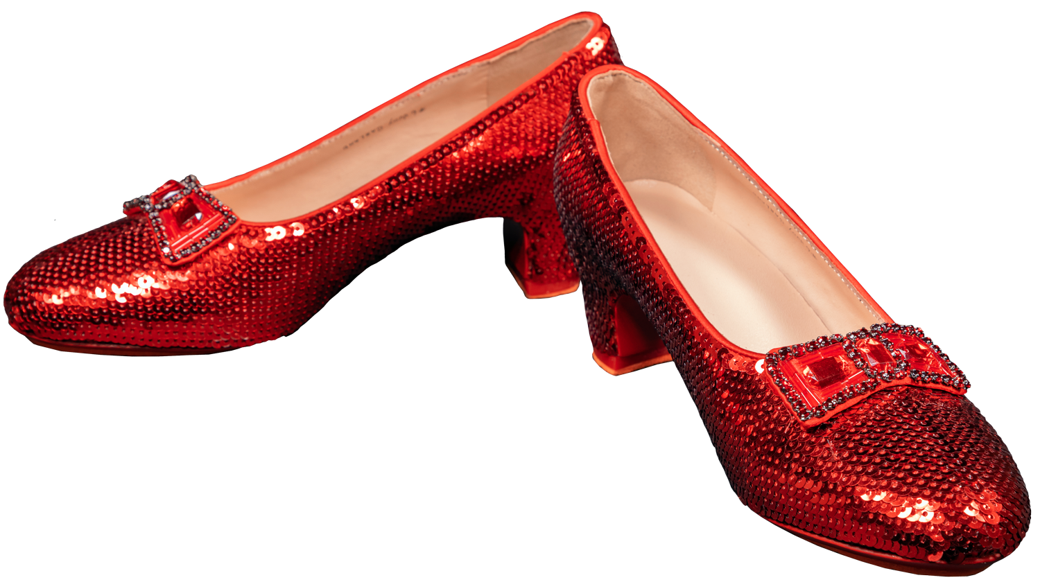 Detail Ruby Slippers Png Nomer 10