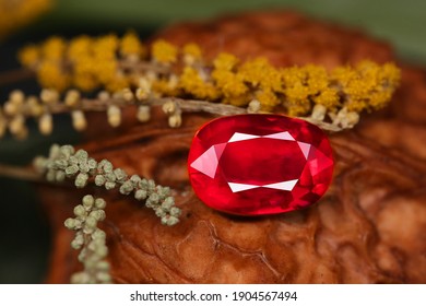 Detail Ruby Stone Images Nomer 47