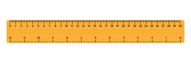 Detail Ruler Image Clipart Nomer 2