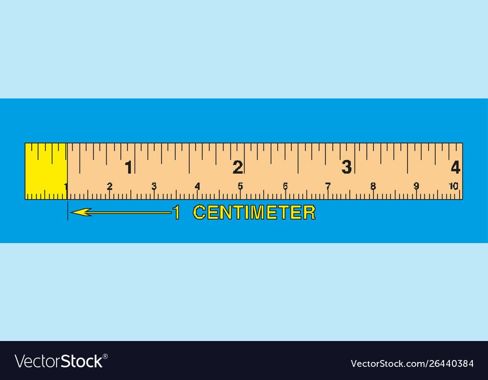 Detail Ruler Image Cm Nomer 54