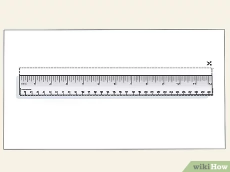 Detail Ruler Jpg Nomer 22