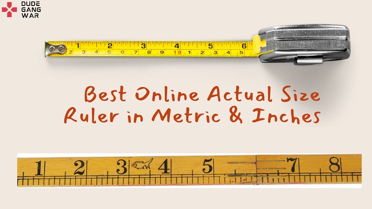 Detail Ruler Real Size Nomer 21
