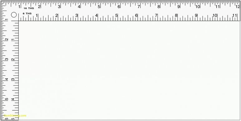 Detail Ruler Real Size Nomer 27