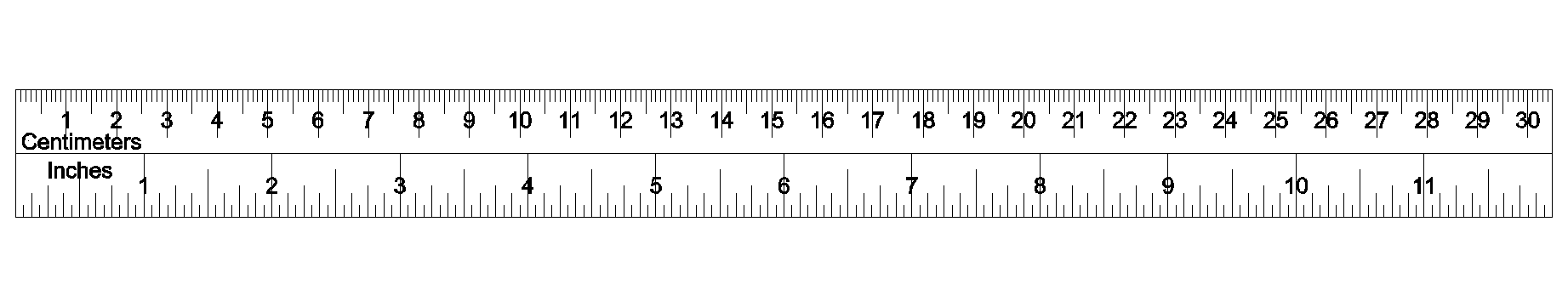 Detail Ruler Real Size Nomer 41