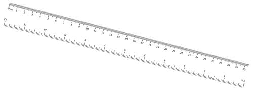 Detail Ruler Real Size Nomer 51