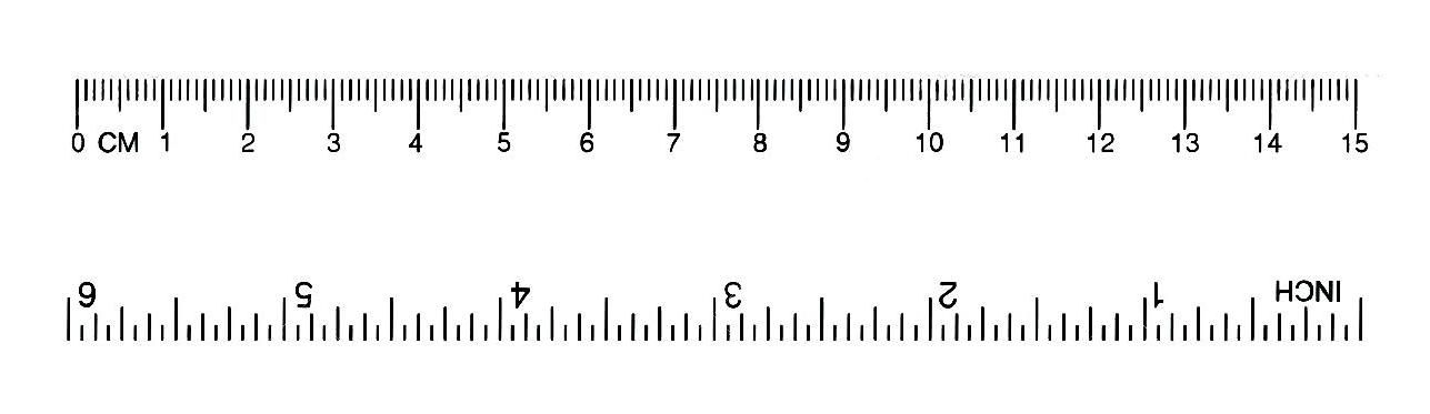 Detail Ruler Real Size Nomer 8