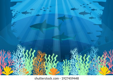 Detail Under The Sea Background Nomer 50