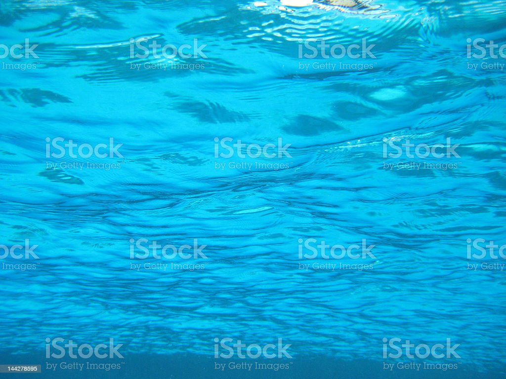 Detail Under The Sea Background Nomer 55