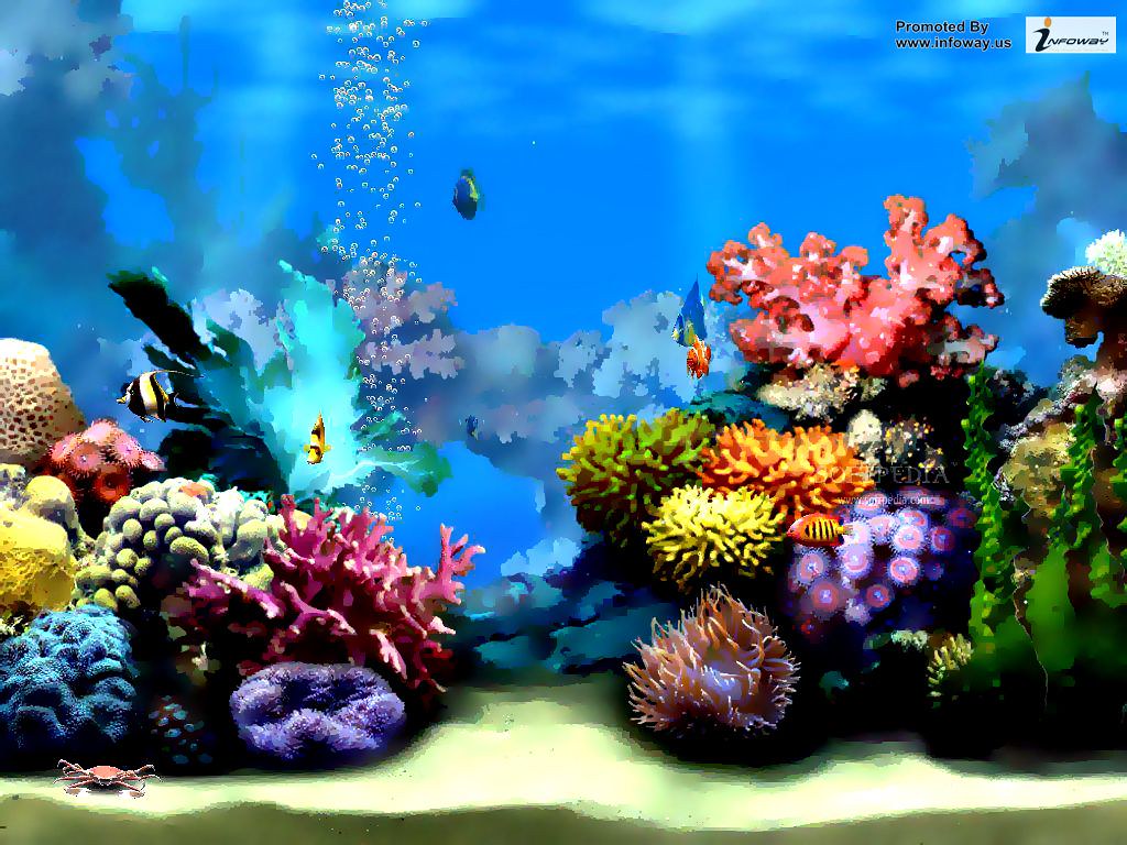 Detail Under The Sea Wallpaper Nomer 33