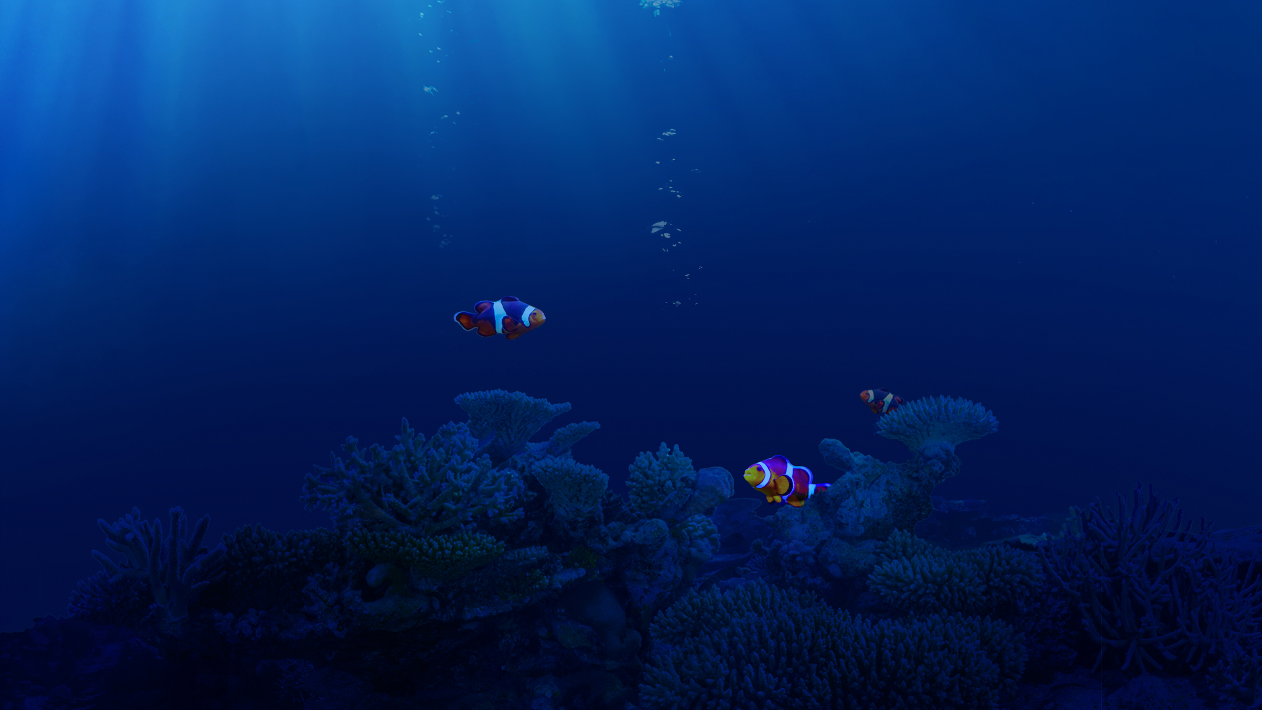 Detail Undersea Wallpaper Nomer 25