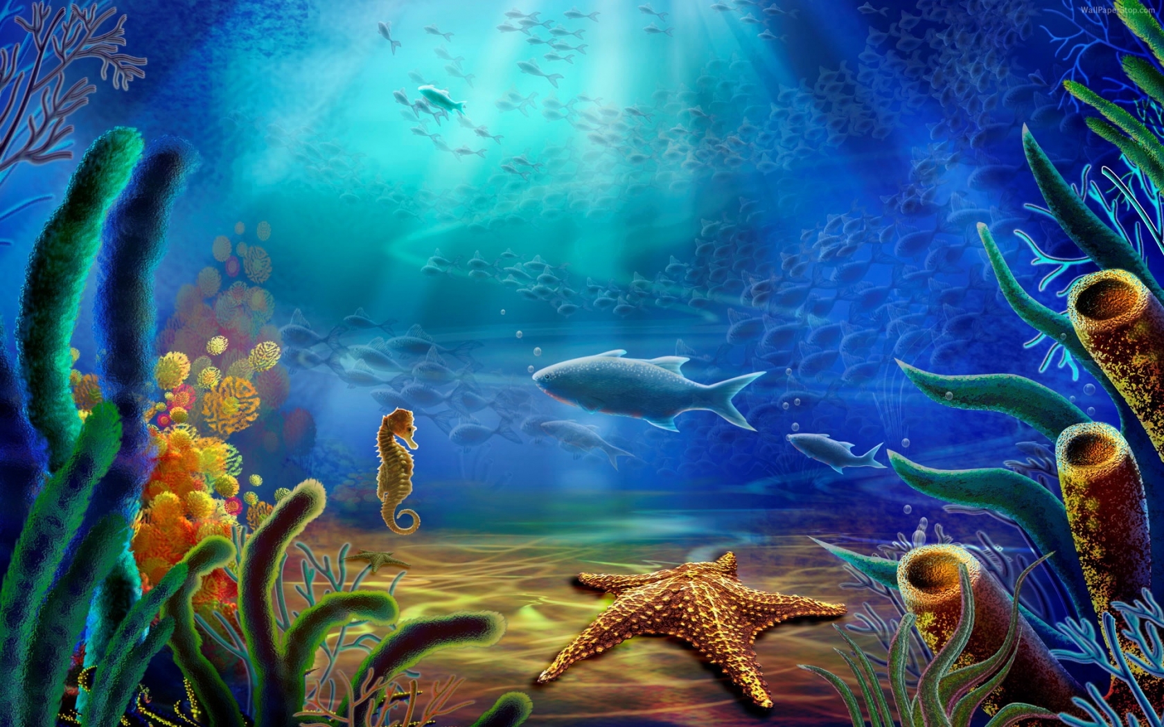 Detail Undersea Wallpaper Nomer 45