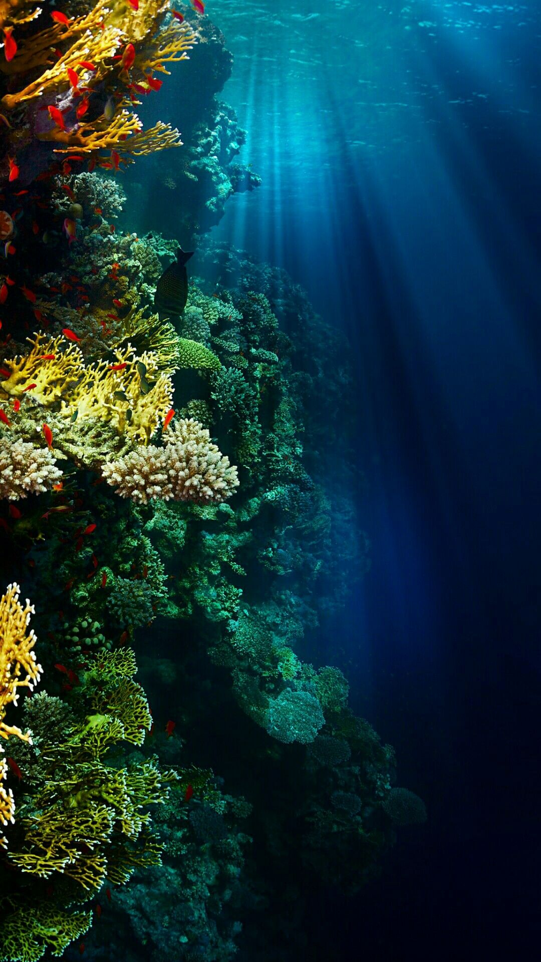 Detail Underwater Wallpaper Hd Nomer 10