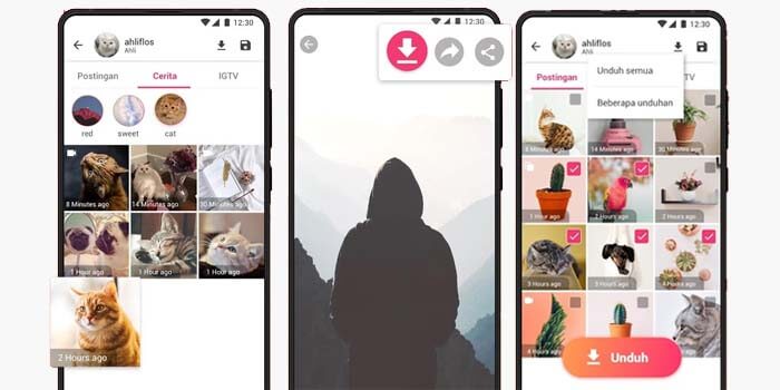 Detail Unduh Gambar Instagram Nomer 30