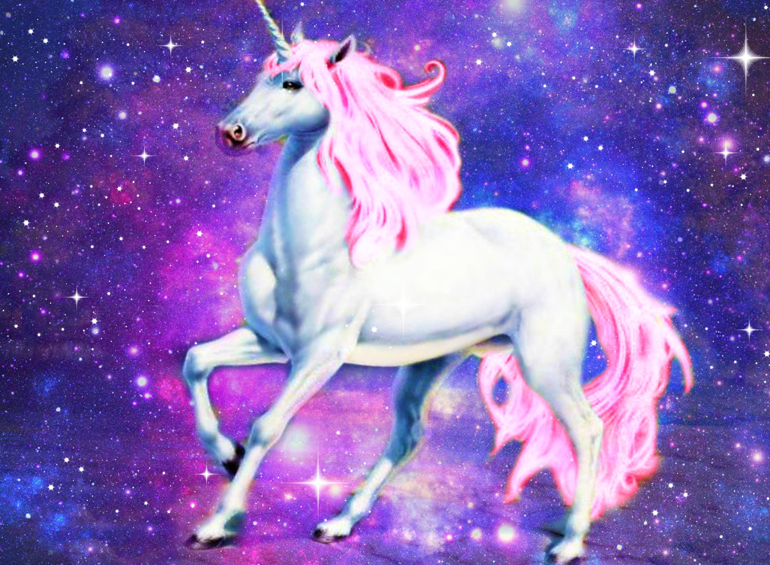 Detail Unicorn Hd Wallpaper Nomer 2